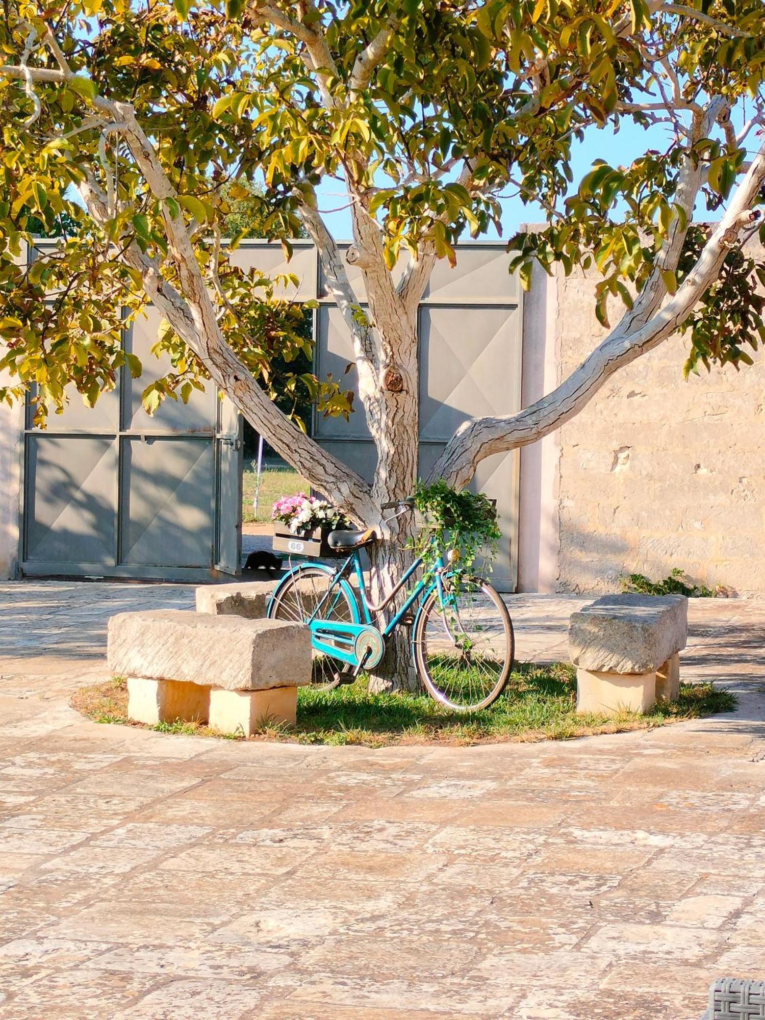 Masseria Furca Alimini Εξωτερικό φωτογραφία